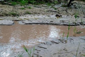 Onondaga-Creek-Mud-Boils