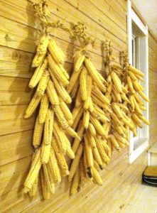 Drying Corn in Braids
